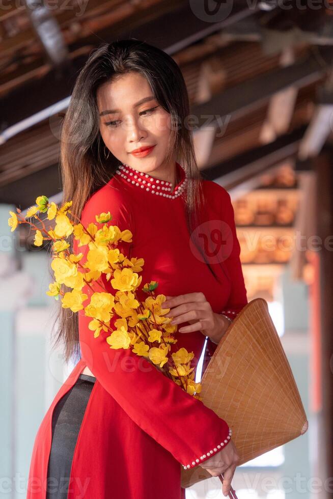 Vietnamese girl with Ao Dai dress standing in traditional house of Vietnam. Text in photo mean best wishes to family, happiness, prosperity, health. Tet holiday and New Year.