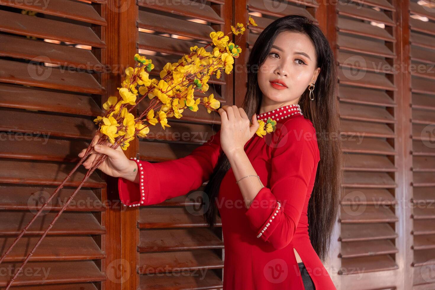 Vietnamese girl with Ao Dai dress standing in traditional house of Vietnam. Text in photo mean best wishes to family, happiness, prosperity, health. Tet holiday and New Year.
