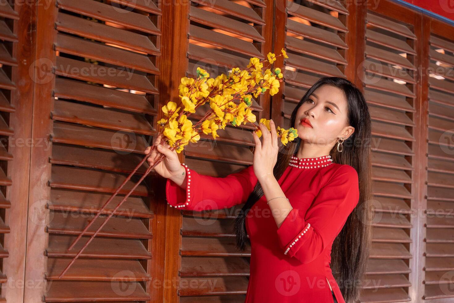 Vietnamese girl with Ao Dai dress standing in traditional house of Vietnam. Text in photo mean best wishes to family, happiness, prosperity, health. Tet holiday and New Year.