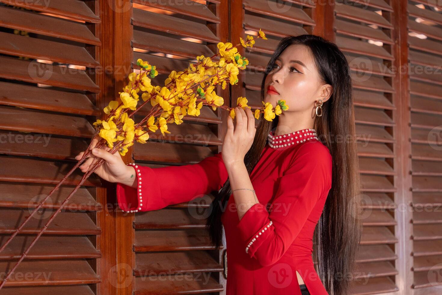 Vietnamese girl with Ao Dai dress standing in traditional house of Vietnam. Text in photo mean best wishes to family, happiness, prosperity, health. Tet holiday and New Year.