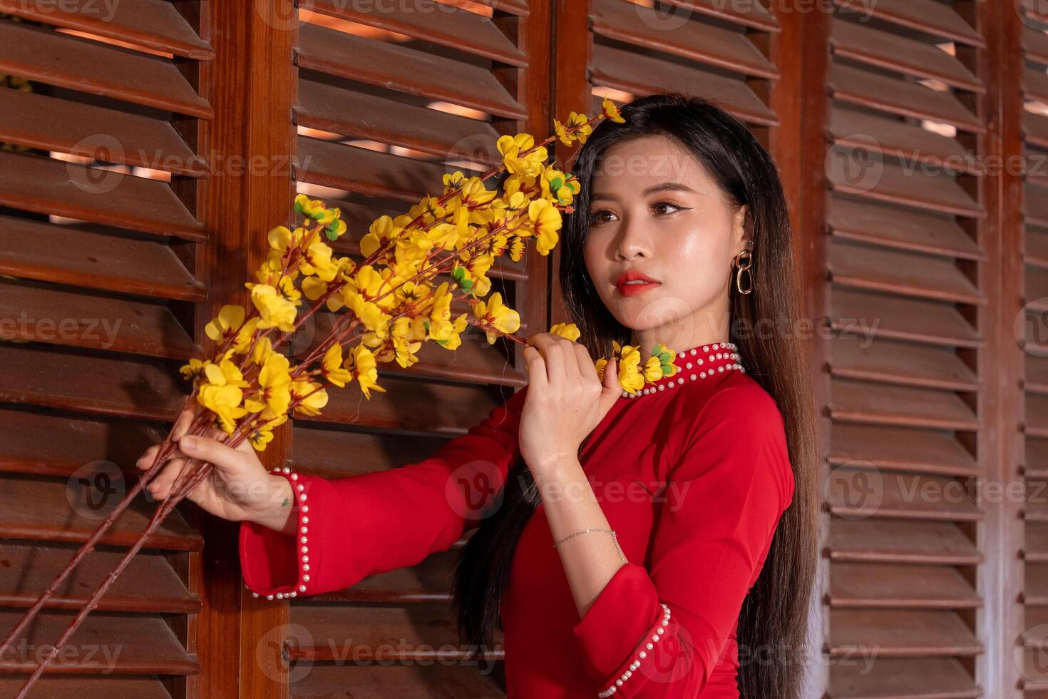 Vietnamese girl with Ao Dai dress standing in traditional house of Vietnam. Text in photo mean best wishes to family, happiness, prosperity, health. Tet holiday and New Year.