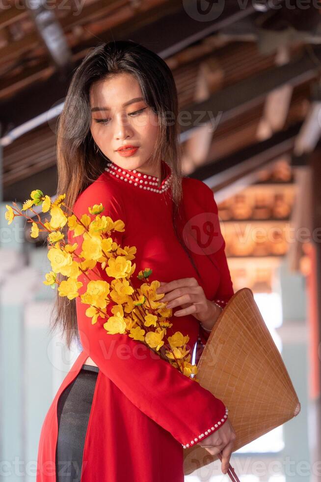 Vietnamese girl with Ao Dai dress standing in traditional house of Vietnam. Text in photo mean best wishes to family, happiness, prosperity, health. Tet holiday and New Year.