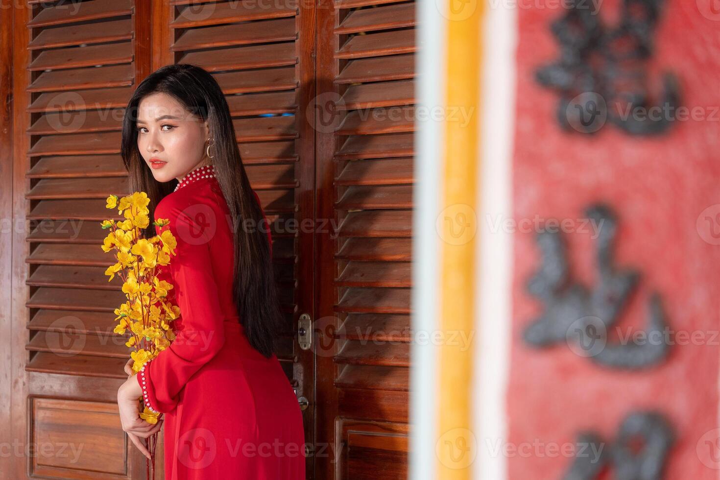 Vietnamese girl with Ao Dai dress standing in traditional house of Vietnam. Text in photo mean best wishes to family, happiness, prosperity, health. Tet holiday and New Year.