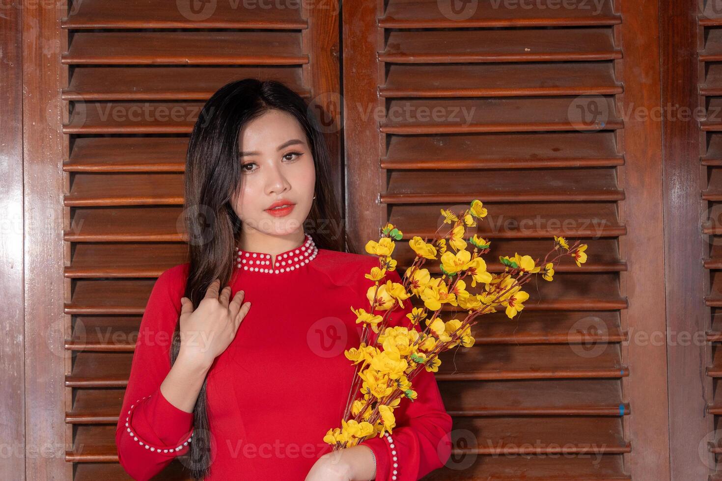 Vietnamese girl with Ao Dai dress standing in traditional house of Vietnam. Text in photo mean best wishes to family, happiness, prosperity, health. Tet holiday and New Year.
