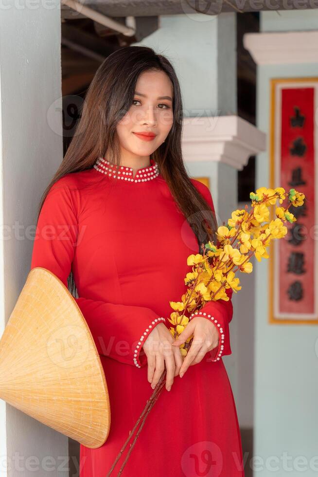 Vietnamese girl with Ao Dai dress standing in traditional house of Vietnam. Text in photo mean best wishes to family, happiness, prosperity, health. Tet holiday and New Year.