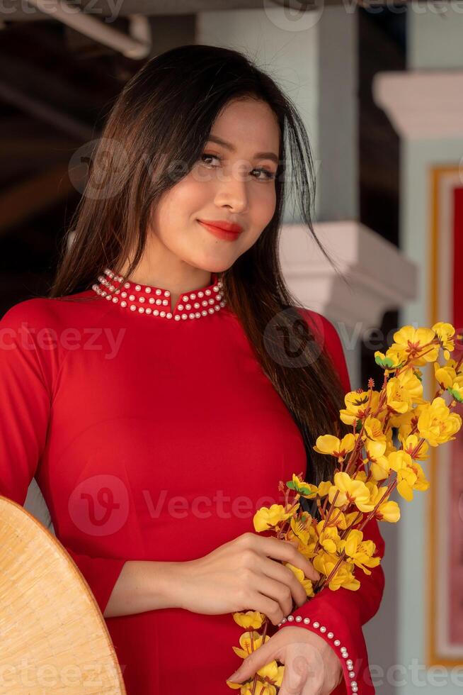Vietnamese girl with Ao Dai dress standing in traditional house of Vietnam. Text in photo mean best wishes to family, happiness, prosperity, health. Tet holiday and New Year.