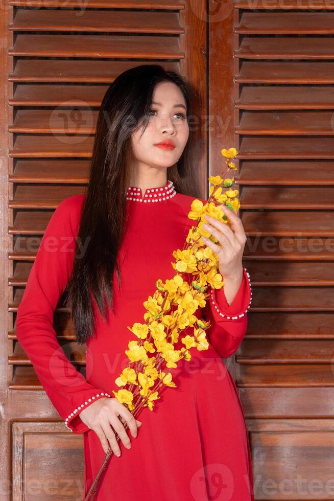 Vietnamese girl with Ao Dai dress standing in traditional house of Vietnam. Text in photo mean best wishes to family, happiness, prosperity, health. Tet holiday and New Year.