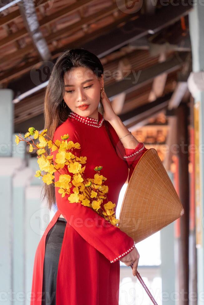 Vietnamese girl with Ao Dai dress standing in traditional house of Vietnam. Text in photo mean best wishes to family, happiness, prosperity, health. Tet holiday and New Year.