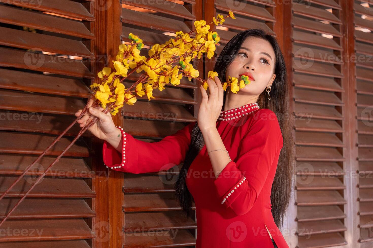 Vietnamese girl with Ao Dai dress standing in traditional house of Vietnam. Text in photo mean best wishes to family, happiness, prosperity, health. Tet holiday and New Year.
