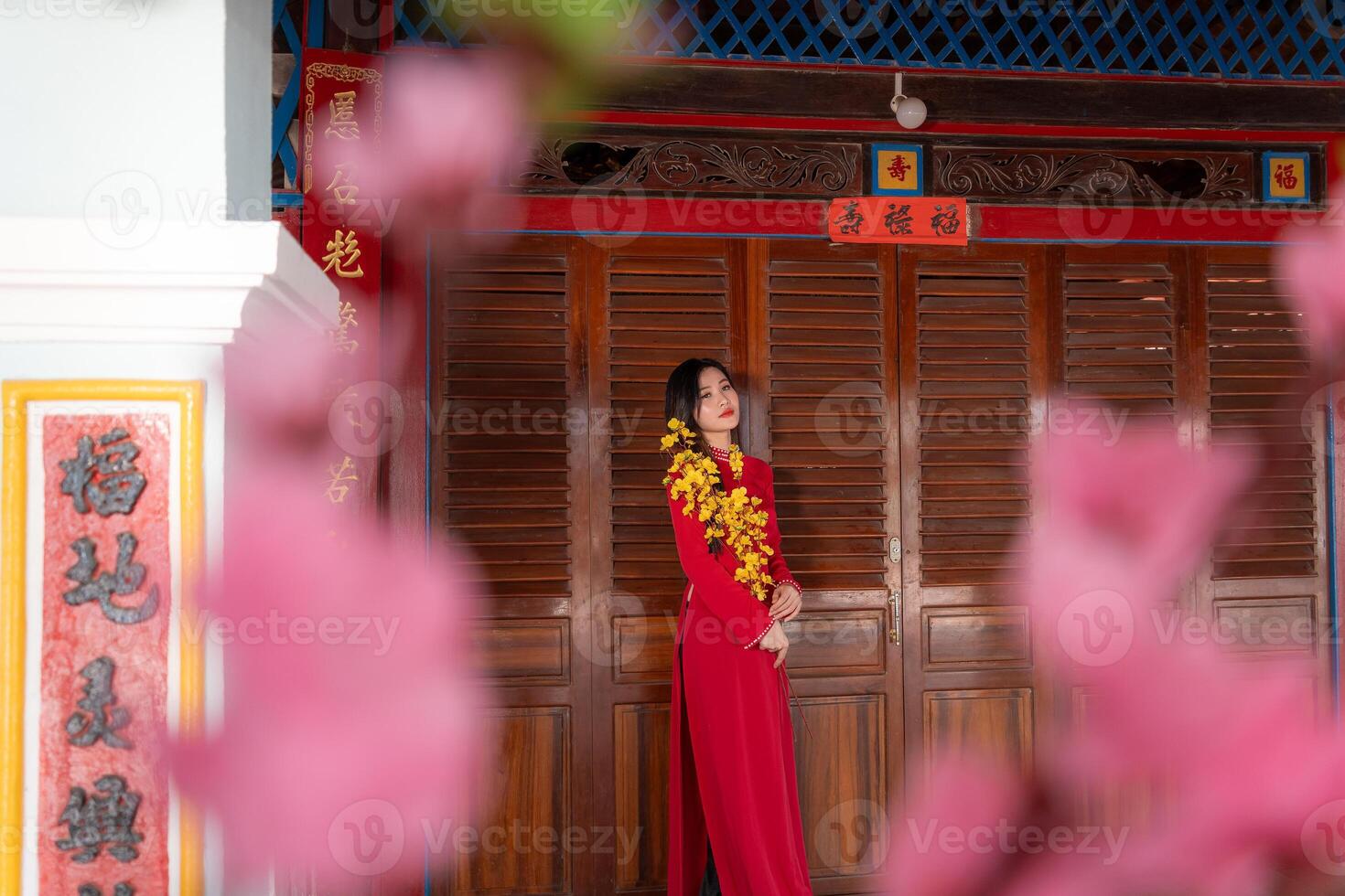Vietnamese girl with Ao Dai dress standing in traditional house of Vietnam. Text in photo mean best wishes to family, happiness, prosperity, health. Tet holiday and New Year.