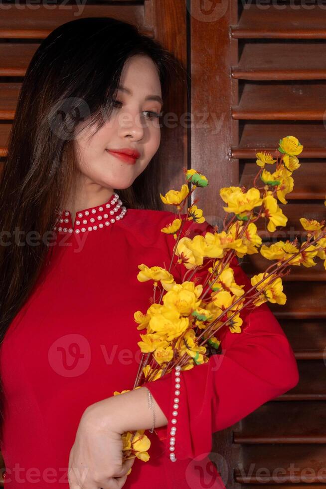 Vietnamese girl with Ao Dai dress standing in traditional house of Vietnam. Text in photo mean best wishes to family, happiness, prosperity, health. Tet holiday and New Year.