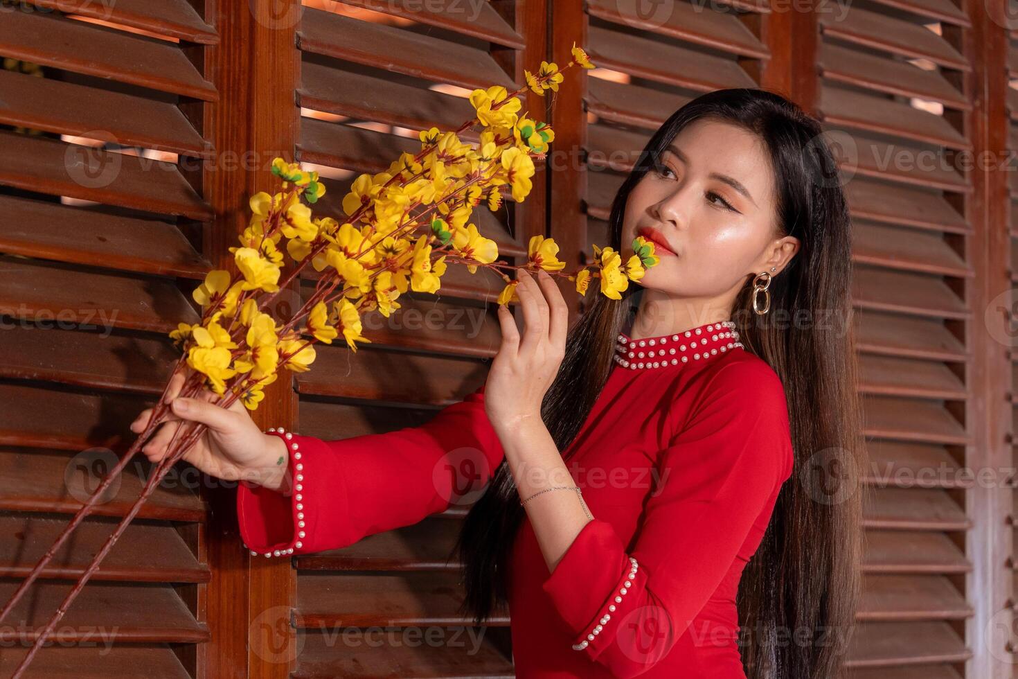 Vietnamese girl with Ao Dai dress standing in traditional house of Vietnam. Text in photo mean best wishes to family, happiness, prosperity, health. Tet holiday and New Year.