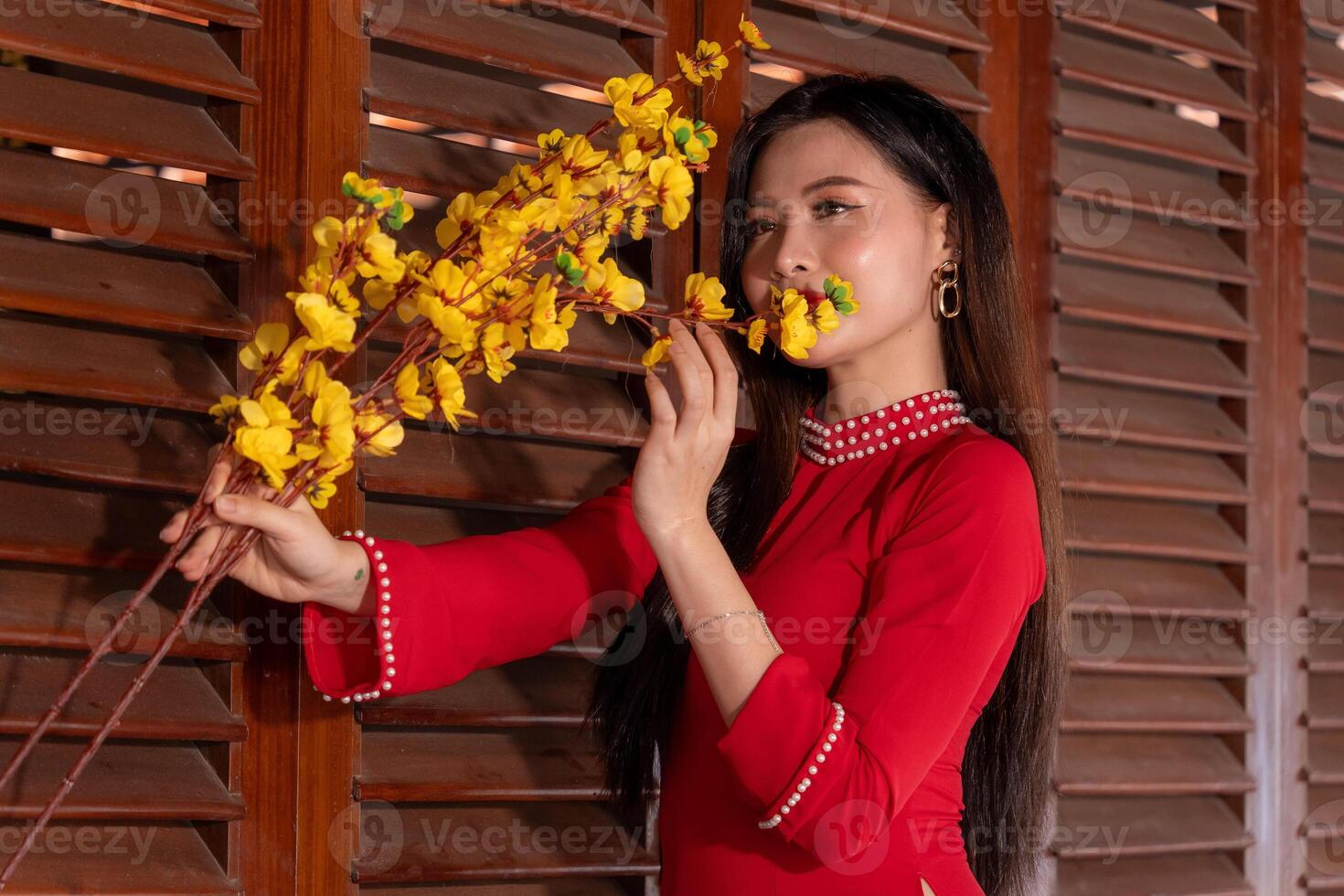 Vietnamese girl with Ao Dai dress standing in traditional house of Vietnam. Text in photo mean best wishes to family, happiness, prosperity, health. Tet holiday and New Year.