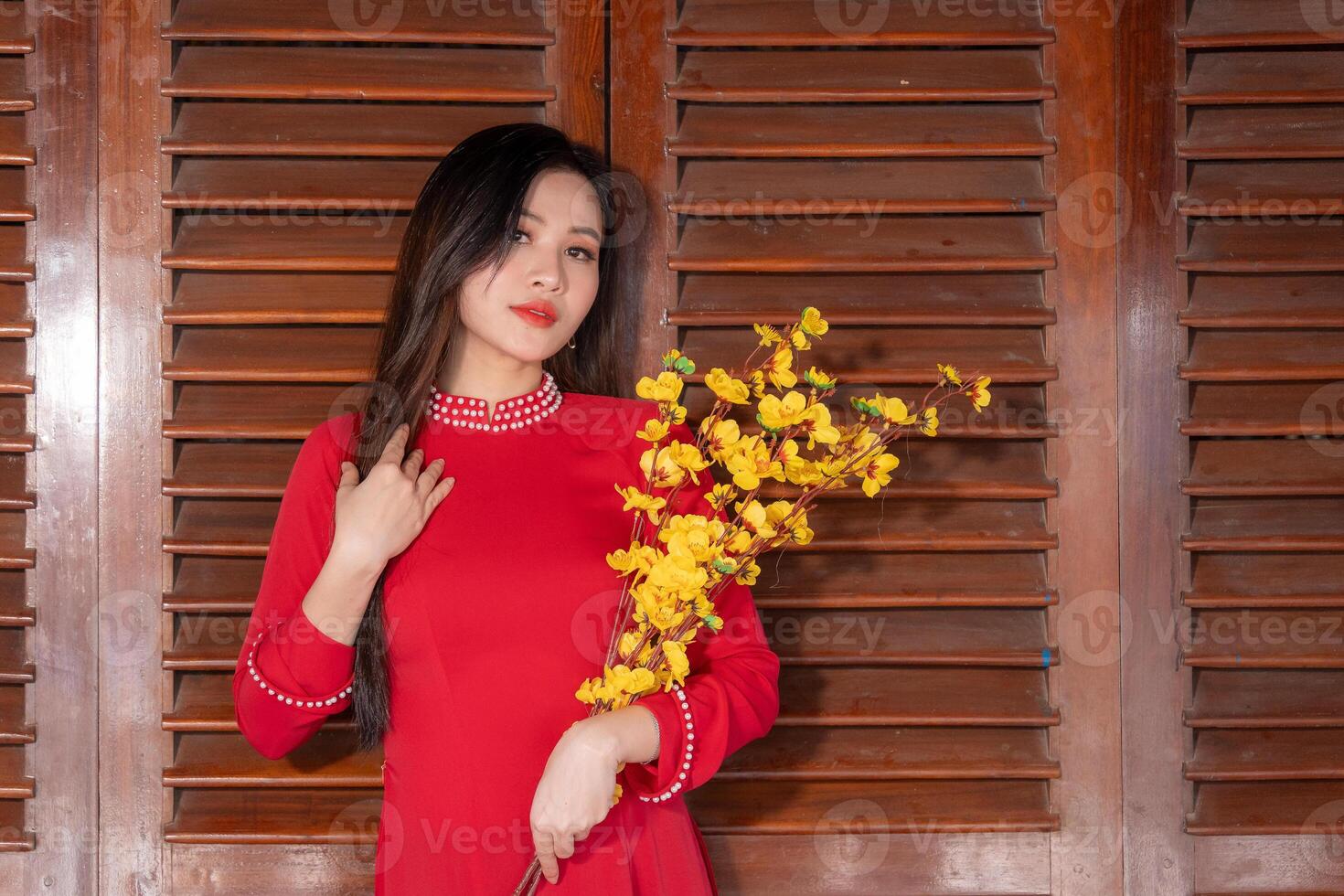 Vietnamese girl with Ao Dai dress standing in traditional house of Vietnam. Text in photo mean best wishes to family, happiness, prosperity, health. Tet holiday and New Year.
