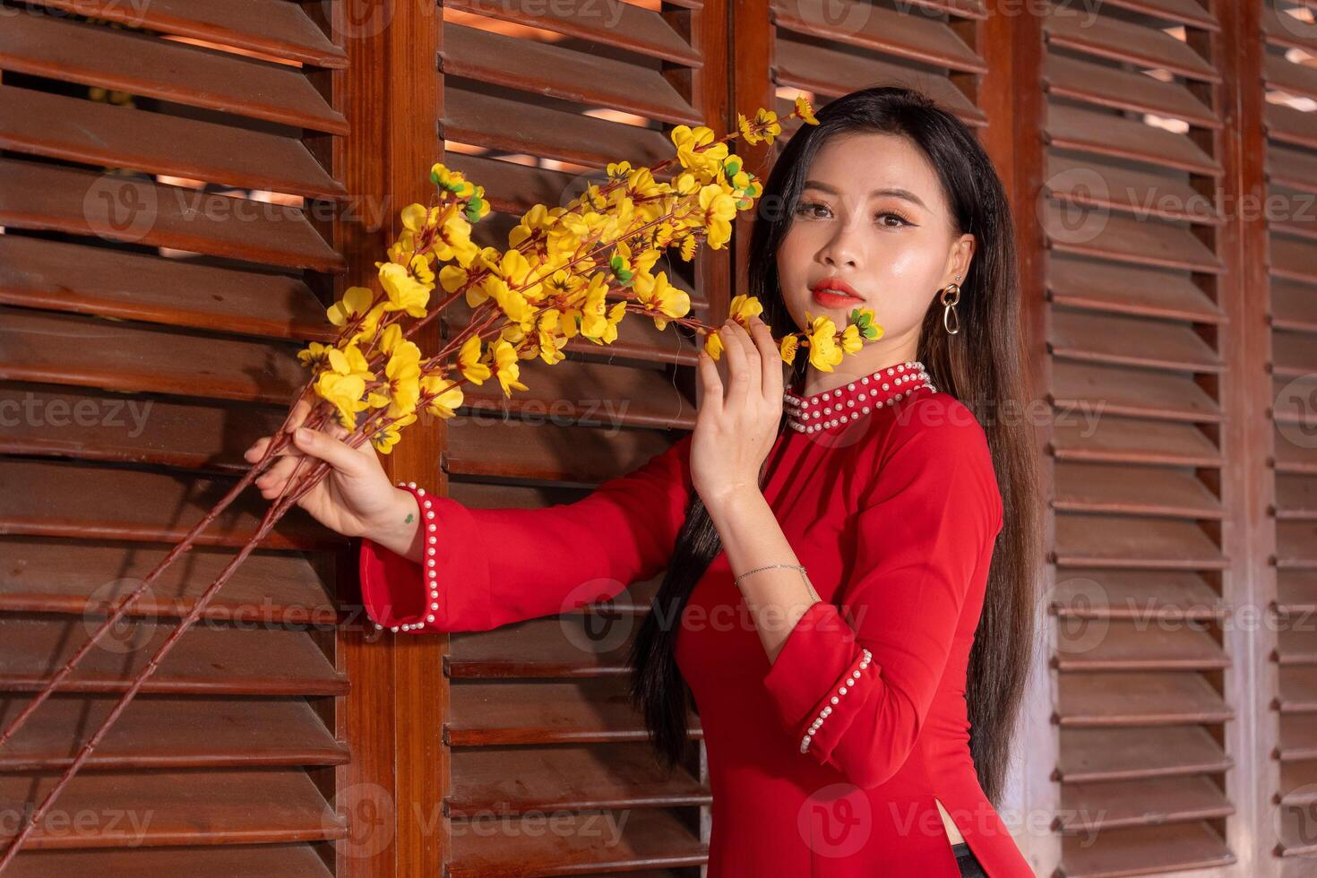Vietnamese girl with Ao Dai dress standing in traditional house of Vietnam. Text in photo mean best wishes to family, happiness, prosperity, health. Tet holiday and New Year.