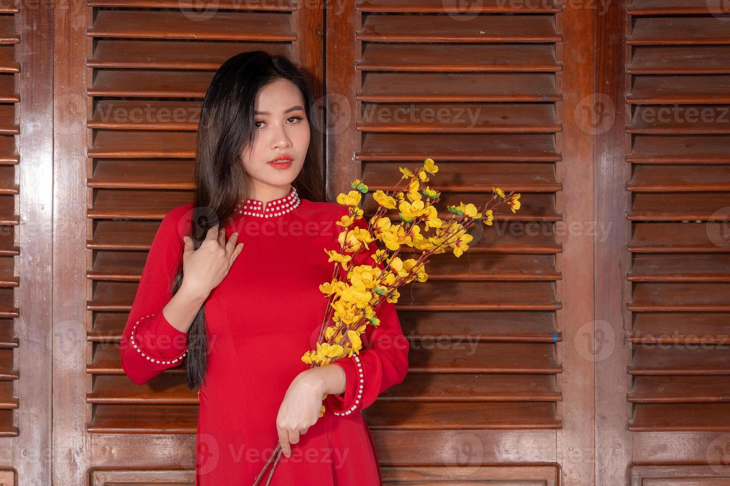 Vietnamese girl with Ao Dai dress standing in traditional house of Vietnam. Text in photo mean best wishes to family, happiness, prosperity, health. Tet holiday and New Year.