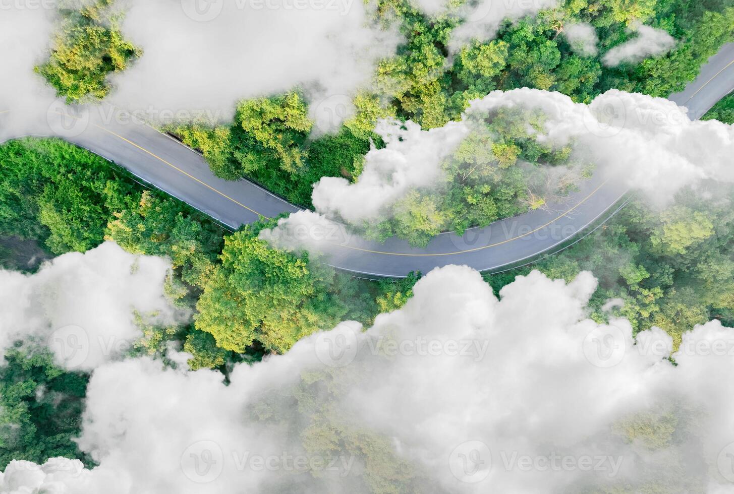 Aerial view of dense green trees in forest capture CO2 and curve highway road. Green trees background for carbon neutrality and net zero emissions concept. Sustainable green environment. Carbon credit photo
