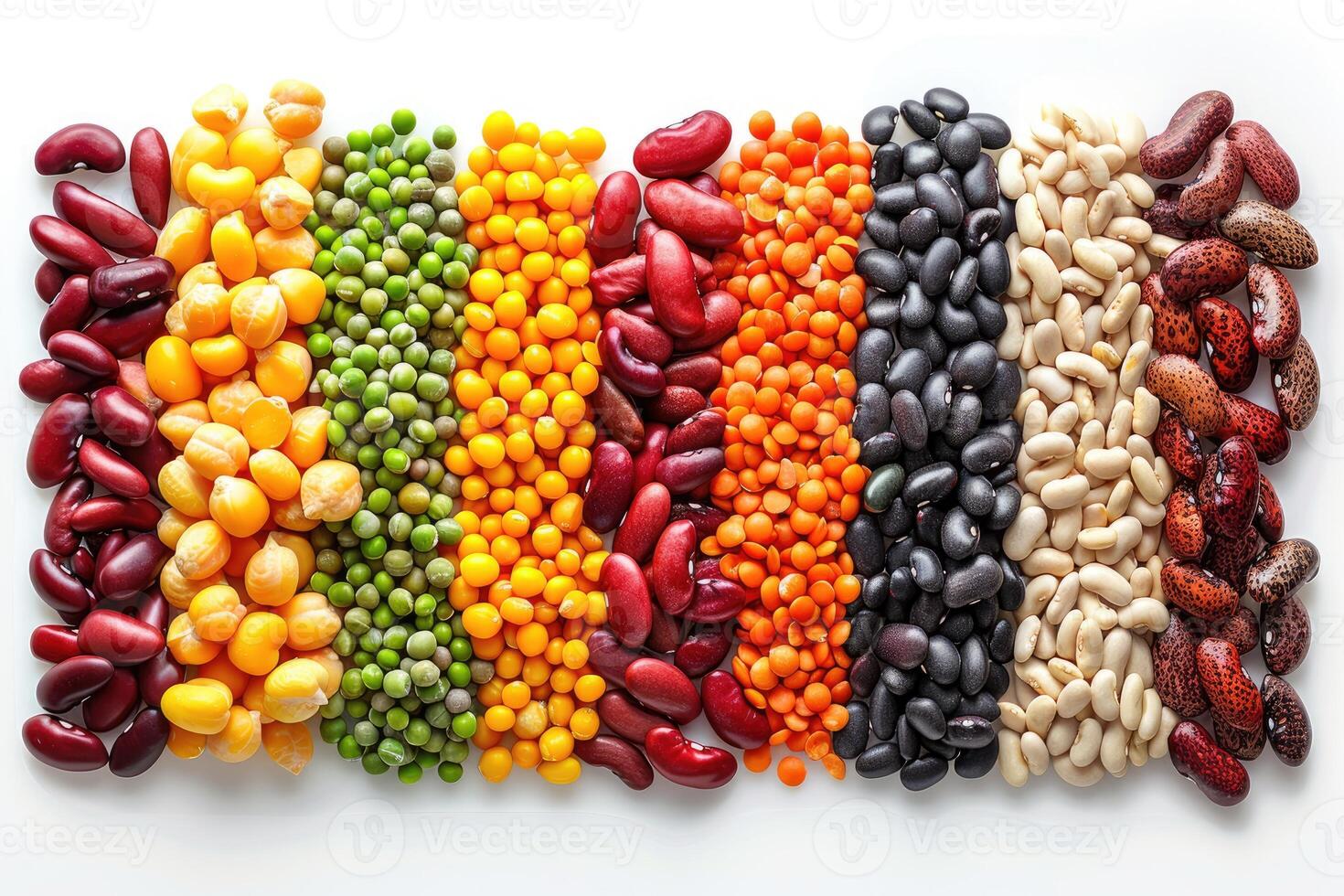Colorful variety of beans and lentils arranged in horizontal rows photo