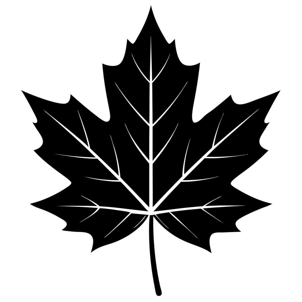 maple leaf black silhouette illustration vector