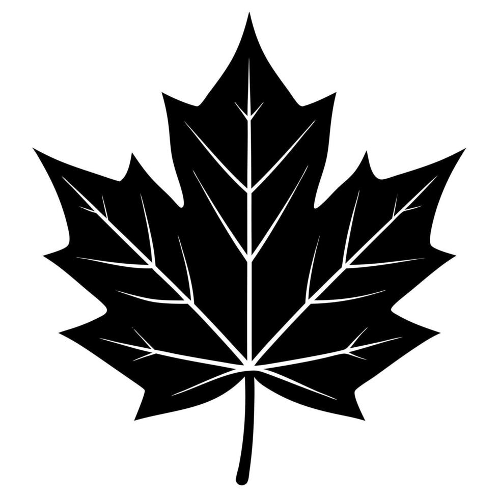 maple leaf black silhouette illustration vector