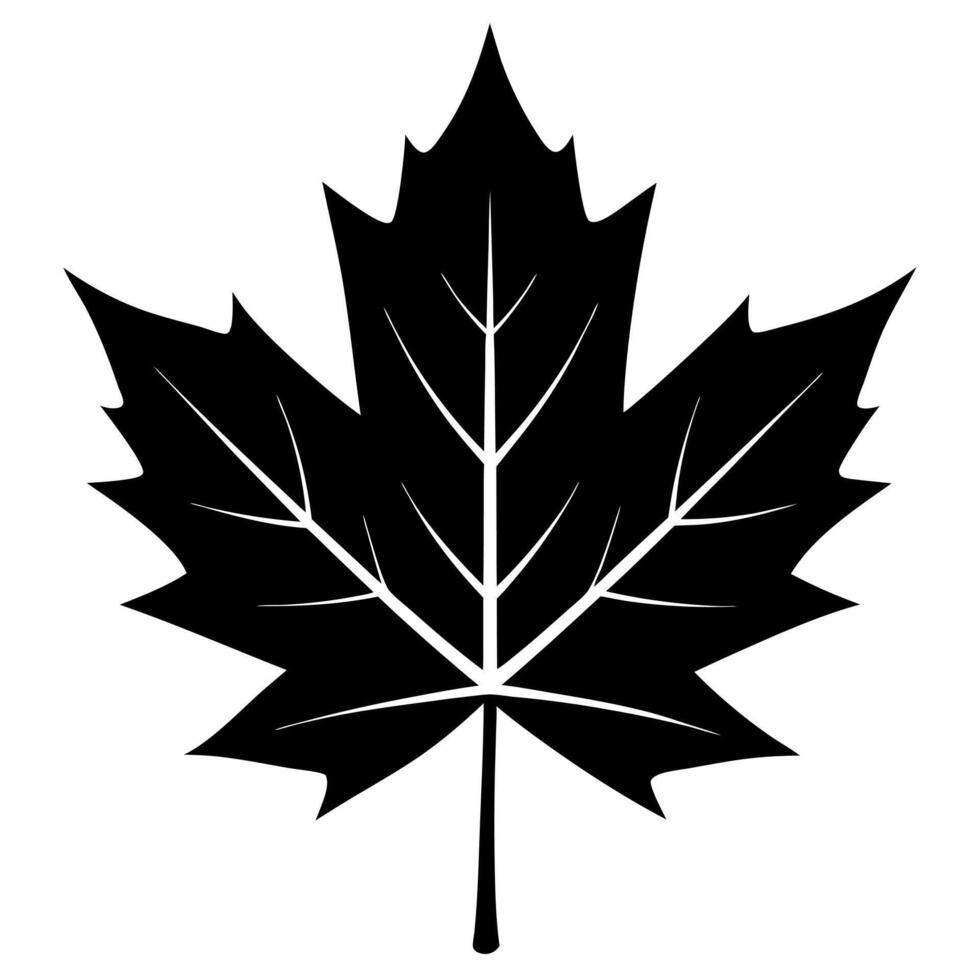 maple leaf black silhouette illustration vector