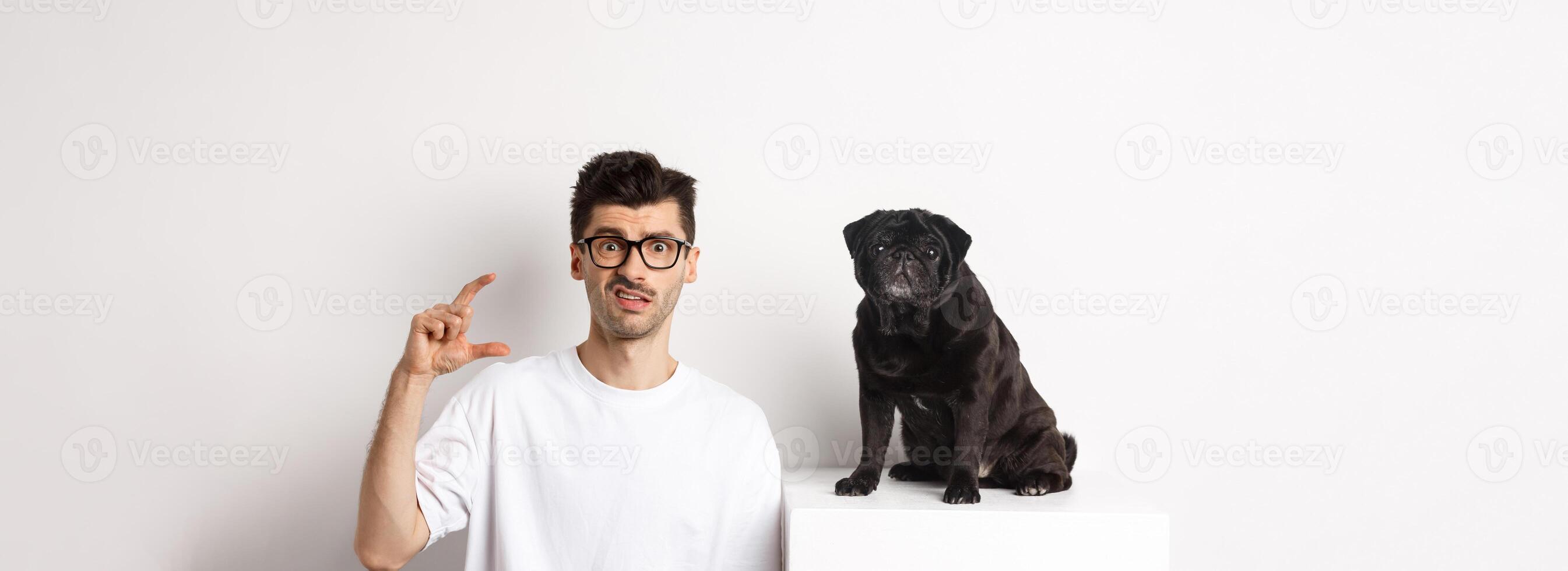 Image of puzzled young man sitting near cute black pug, showing small size and frowning disappointed, white background photo