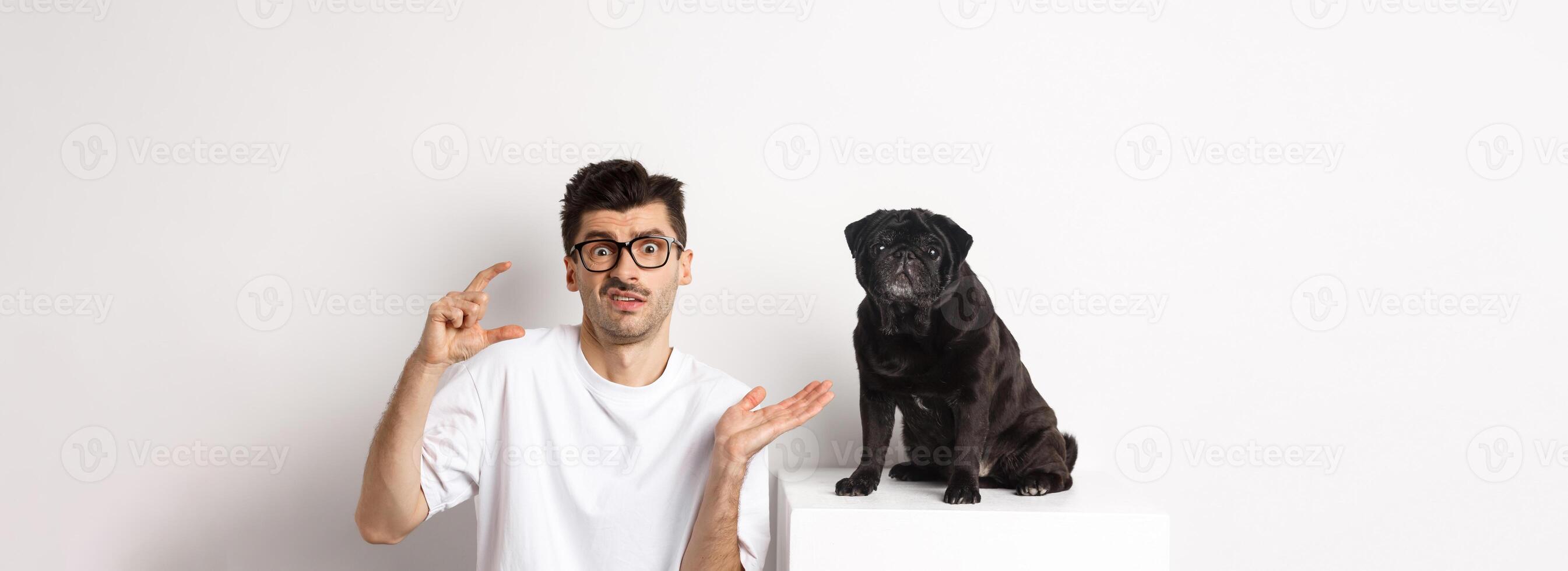 Image of puzzled young man sitting near cute black pug, showing small size and shrugging confused, white background. photo