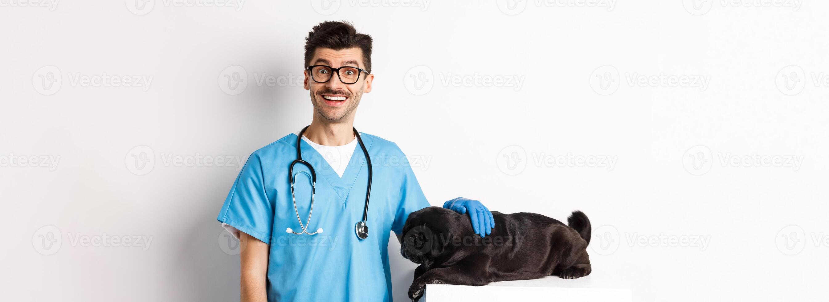 Handsome smiling vet doctor petting cute small dog pug and looking happy at camera, examining puppy at veterinary clinic, standing over white background photo