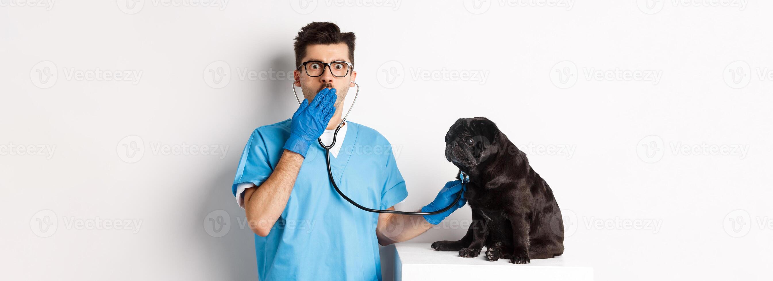 Shocked doctor in vet clinic examining dog with stethoscope, gasping amazed at camera while cute black pug sitting still on table, white background photo
