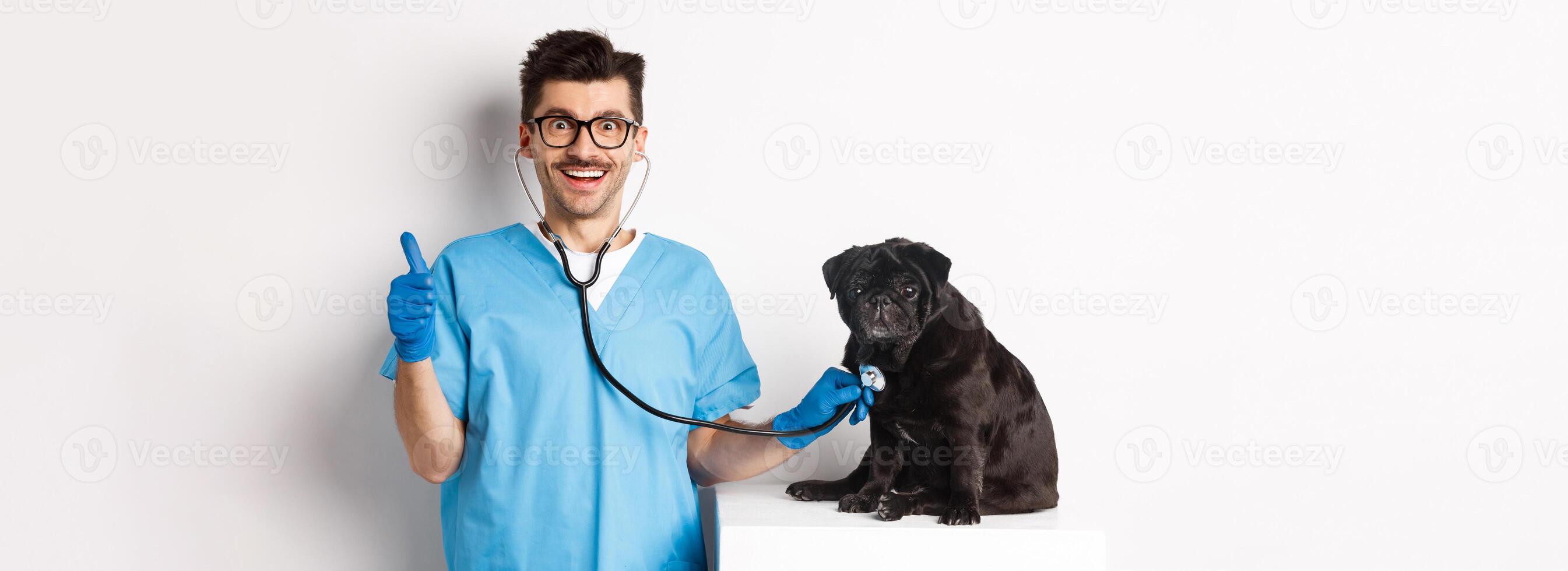 Handsome doctor veterinarian smiling, examining pet in vet clinic, checking pug dog with stethoscope, showing thumbs-up and smiling satisfied, white background photo