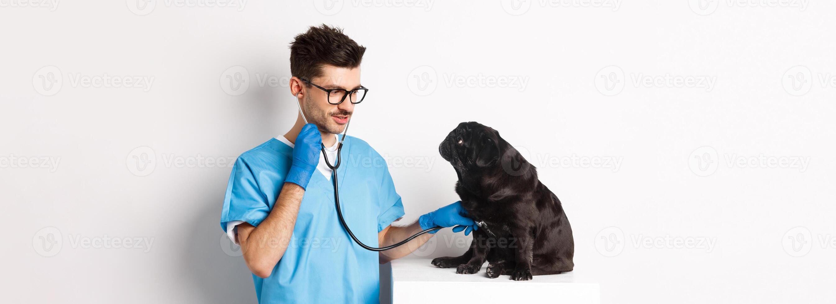 Handsome doctor veterinarian smiling, examining pet in vet clinic, checking pug dog with stethoscope, standing over white background photo