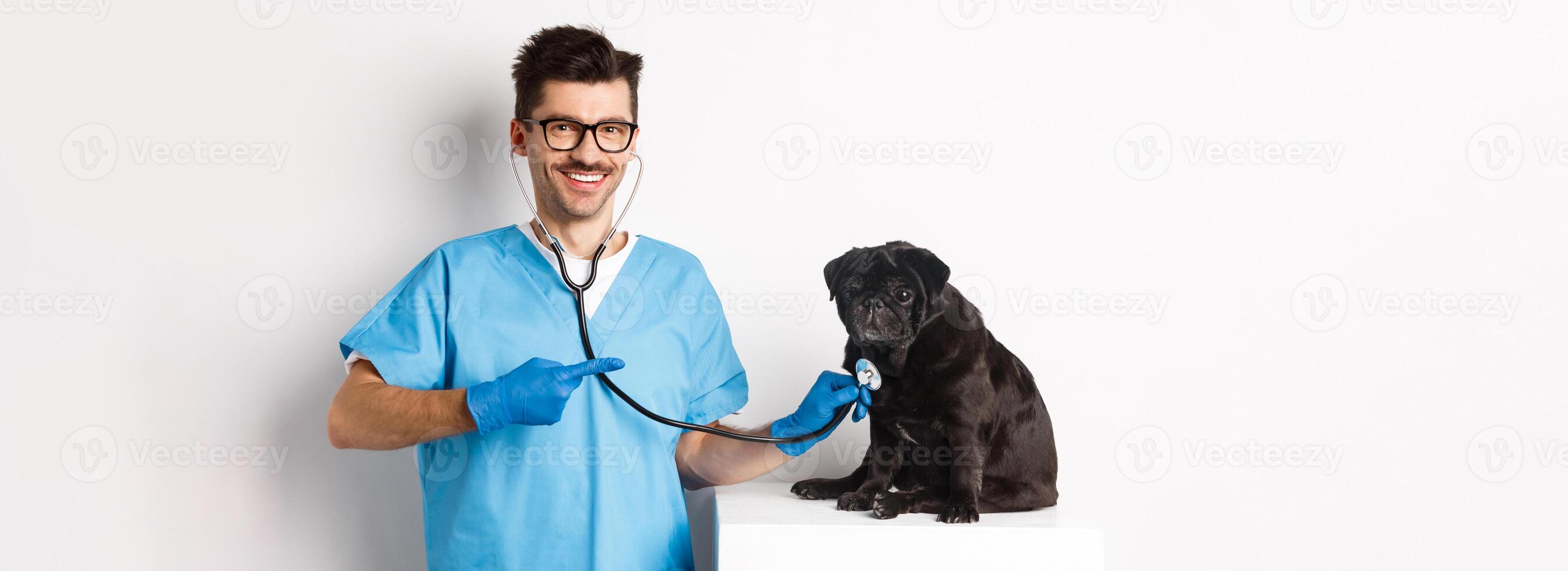 Handsome veterinarian at vet clinic examining cute black pug dog, pointing finger at pet during check-up with stethoscope, white background photo