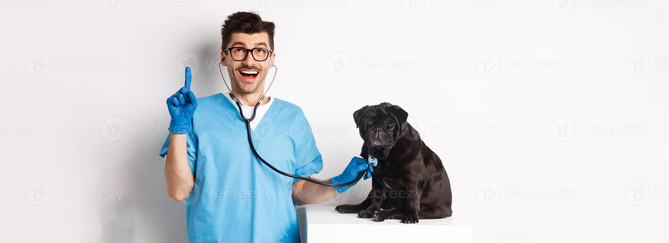 Handsome doctor veterinarian smiling, examining pet in vet clinic, checking pug dog with stethoscope, pointing finger up at promo banner, white background photo