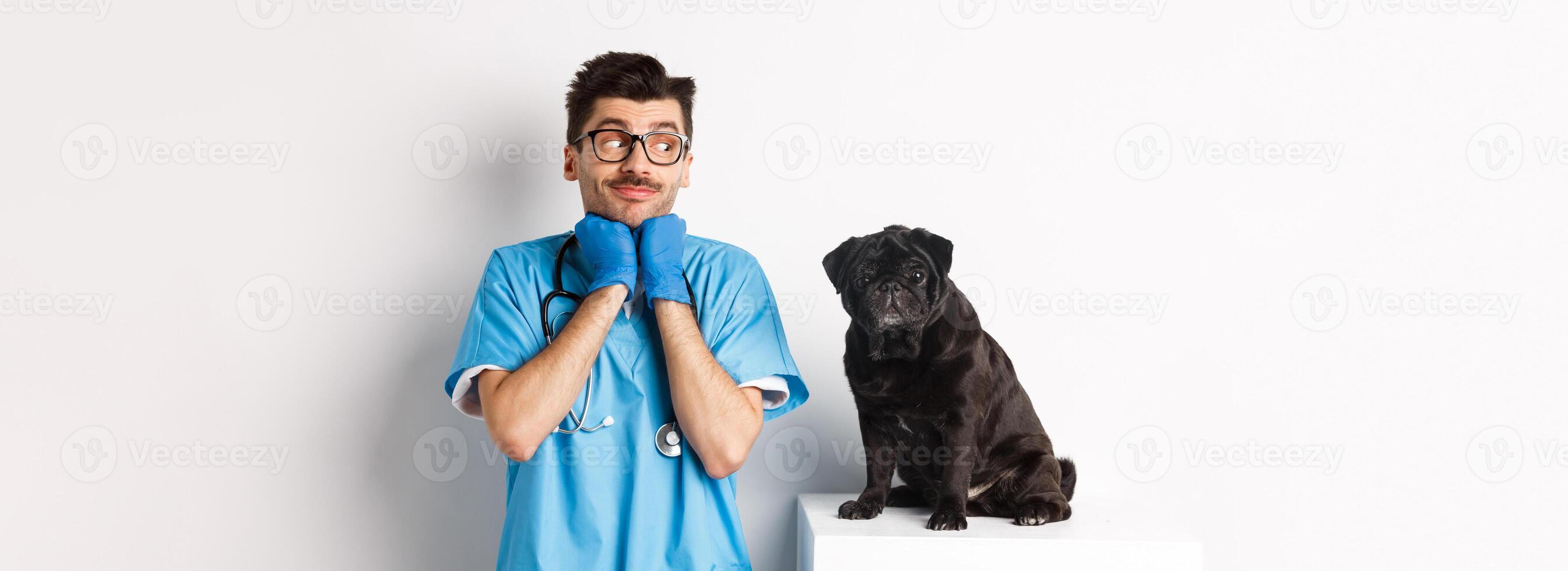 Image of handsome male doctor veterinarian looking at cute black pug dog sitting on table, admiring puppy cuteness, standing over white background photo