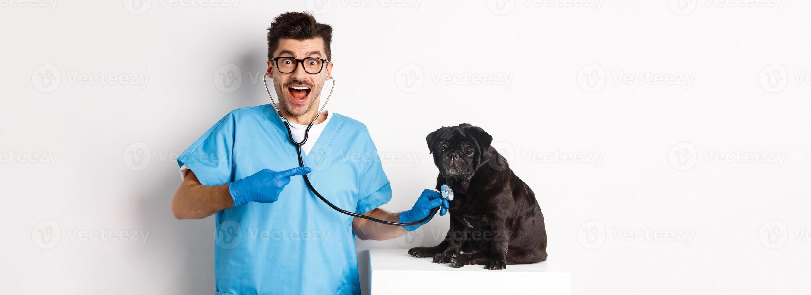 Handsome veterinarian at vet clinic examining cute black pug dog, pointing finger at pet during check-up with stethoscope, white background photo