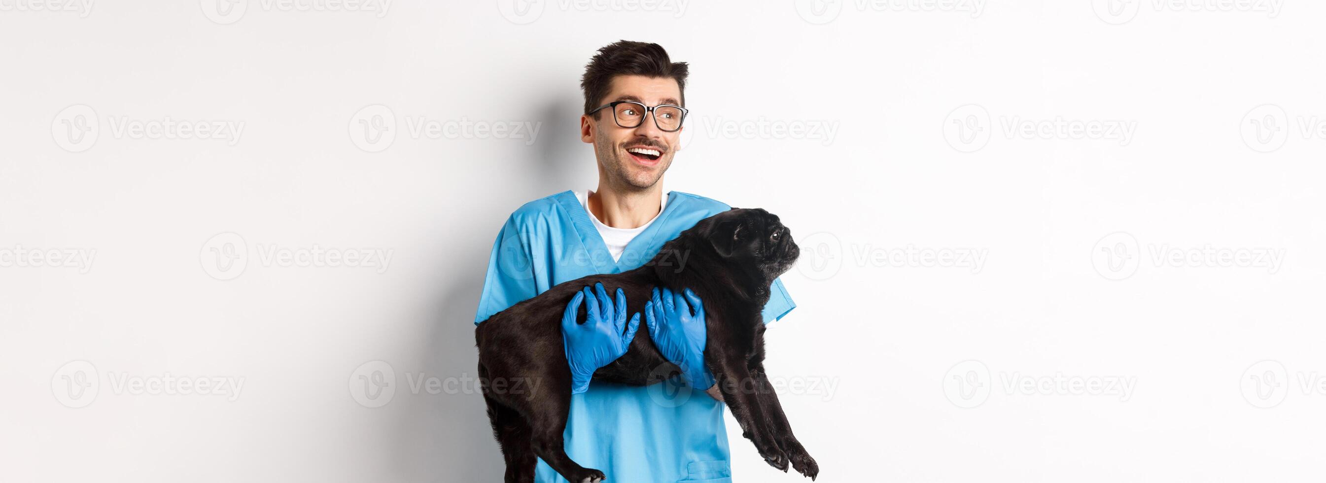Vet clinic concept. Happy male doctor veterinarian holding cute black pug dog, smiling and looking left, standing over white background photo
