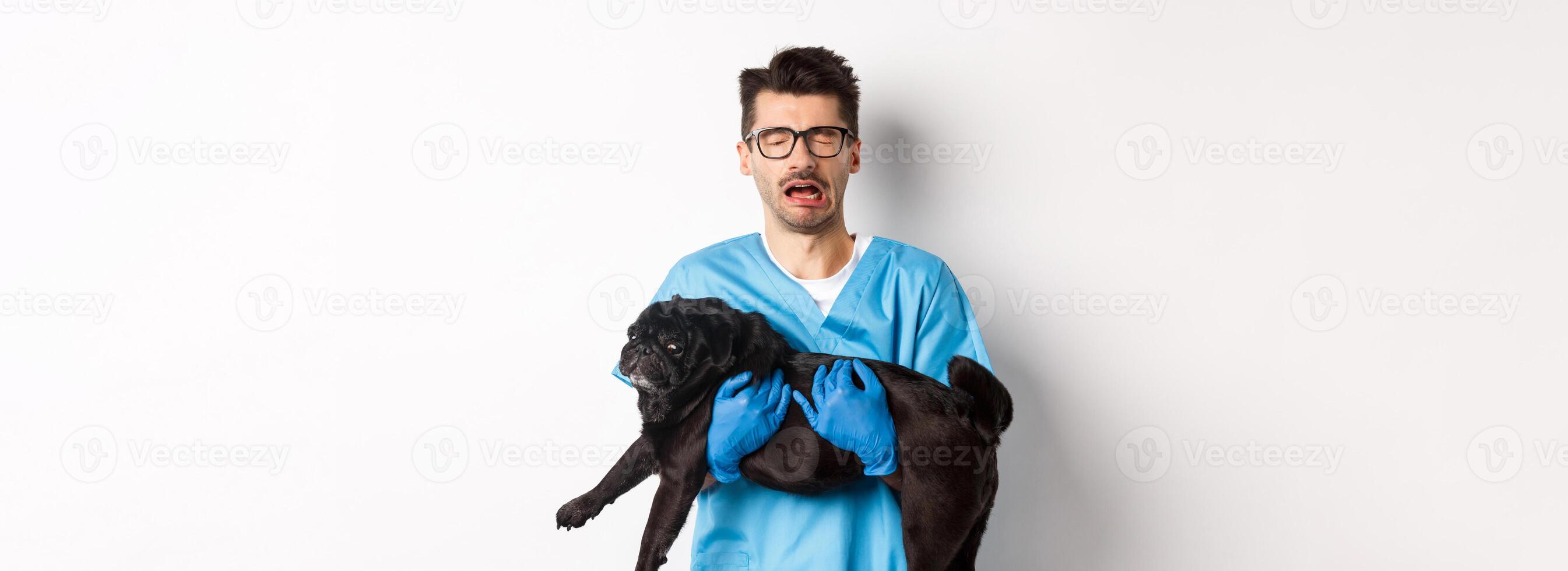 Vet clinic concept. Sad veterinarian holding black pug dog and crying, sobbing with miserable face, standing over white background photo