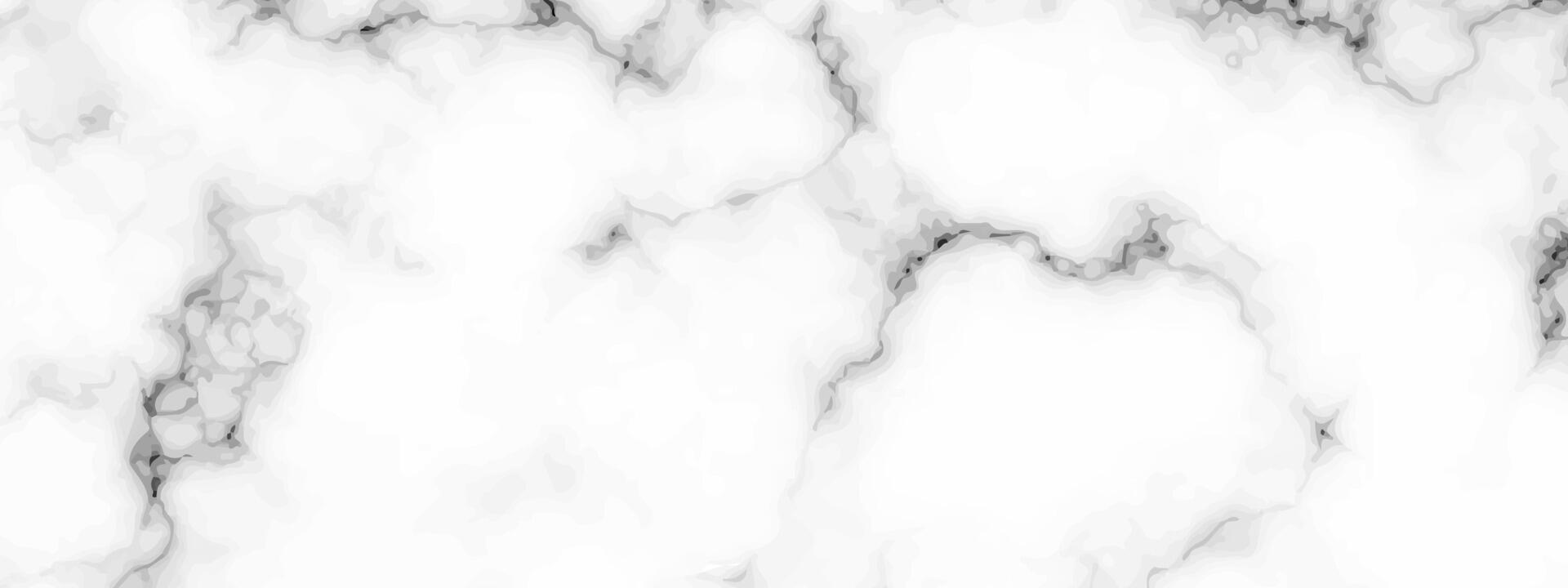 White marble texture background vector