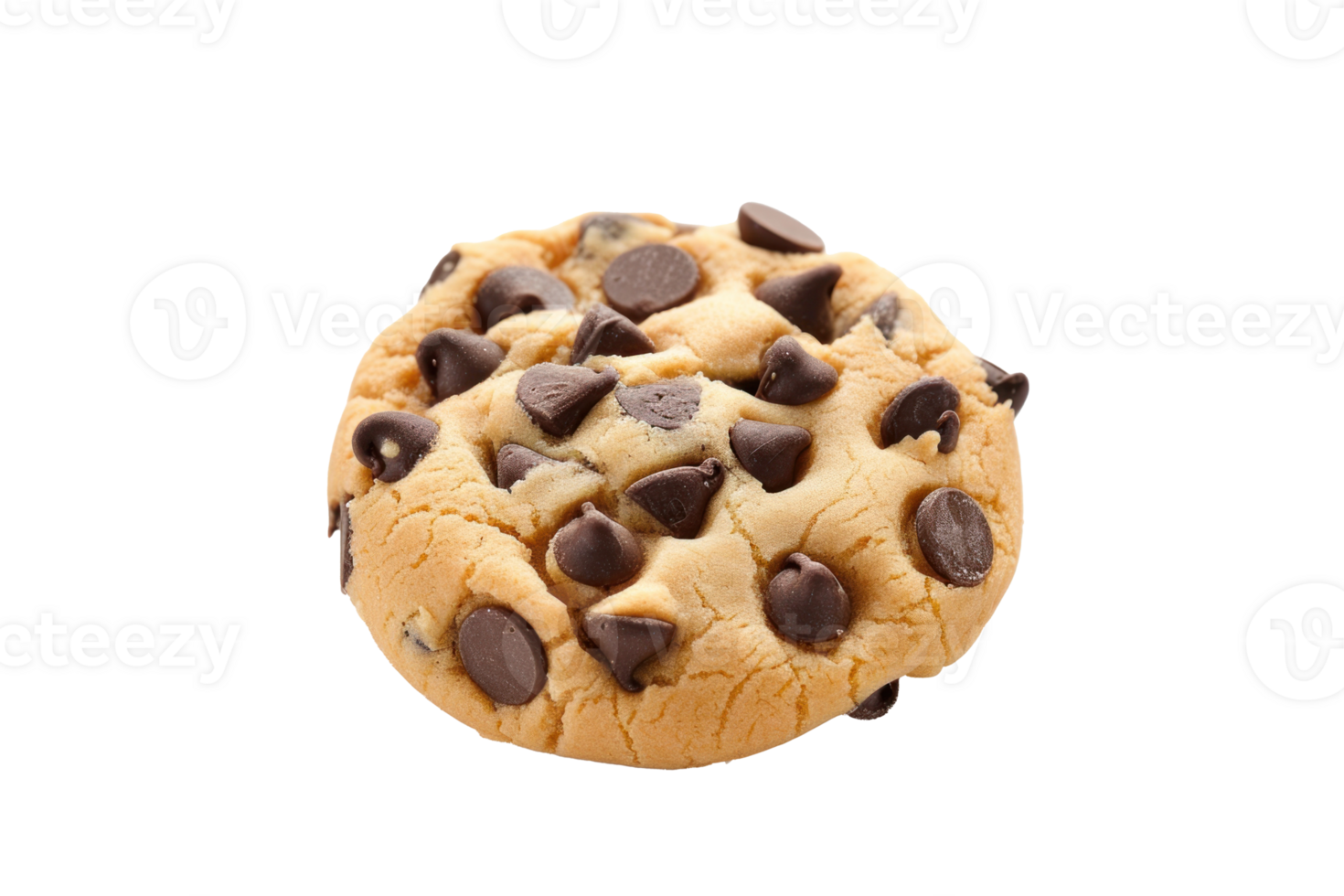chocolate chip cookie on transparent background png