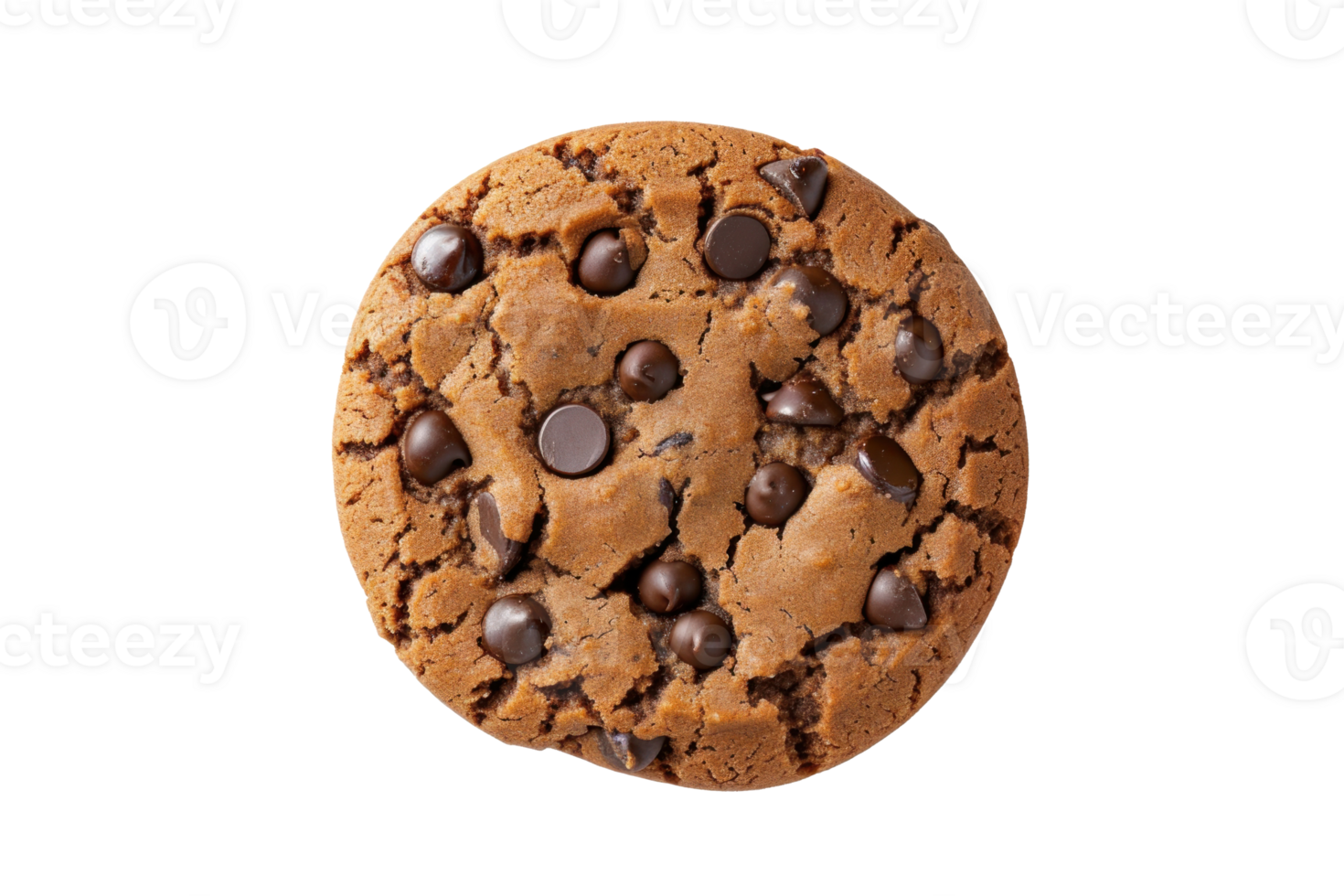 chocolate chip cookie on transparent background png