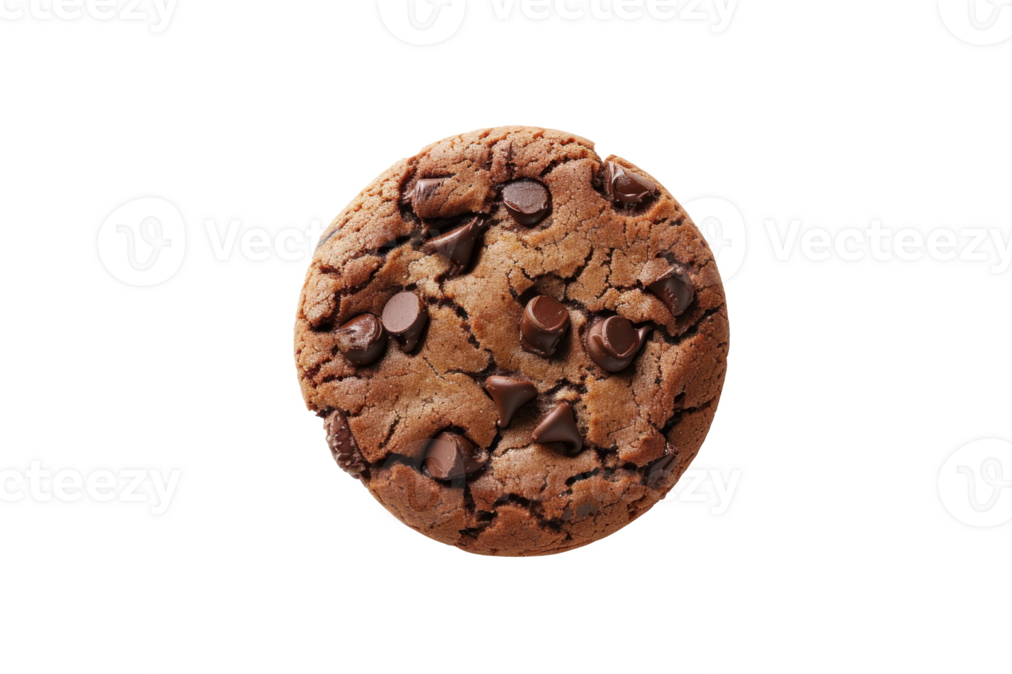 chocolate chip cookie on transparent background png
