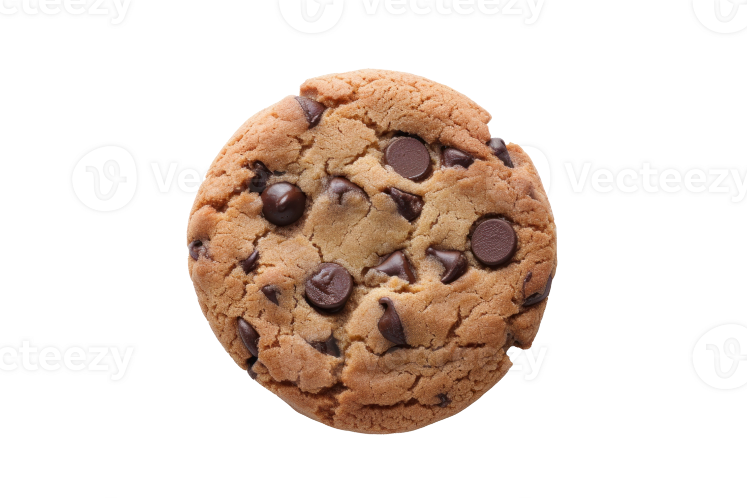 chocolate chip cookie on transparent background png