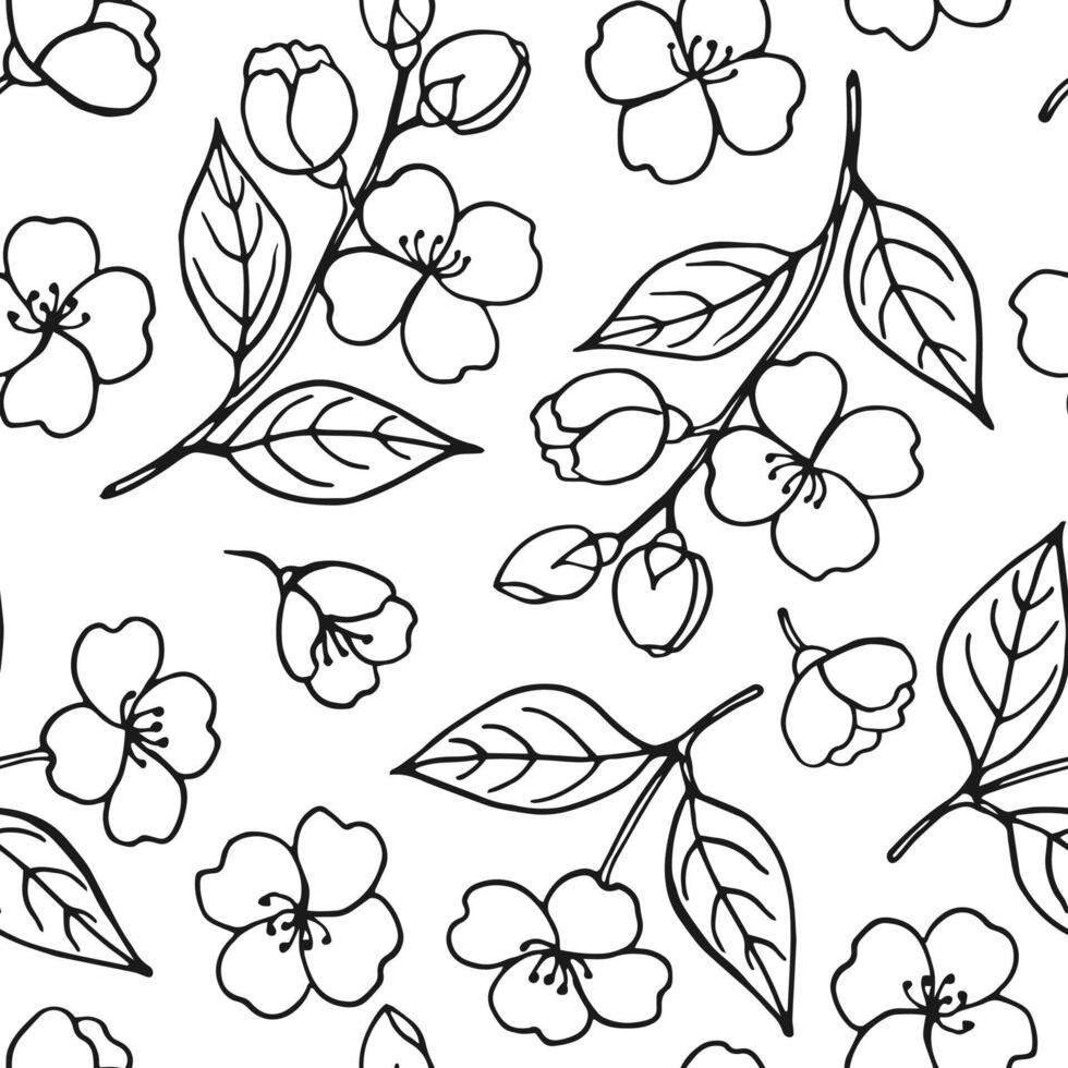 Seamless pattern with leaves and flowers of jasmine. Hand drawn illustration. vector