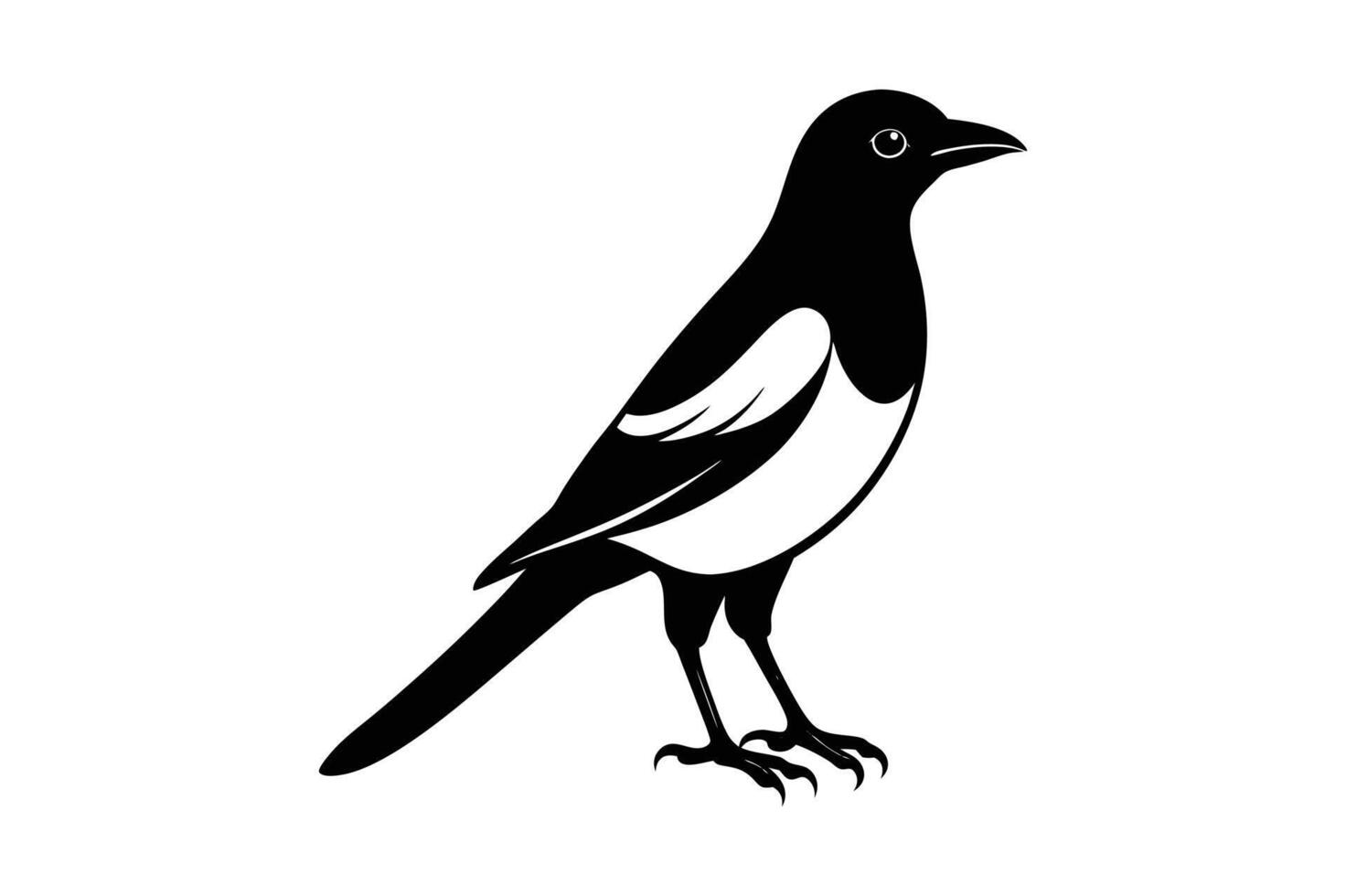 Bird art cartoon, clipart, and line art design for printables vector