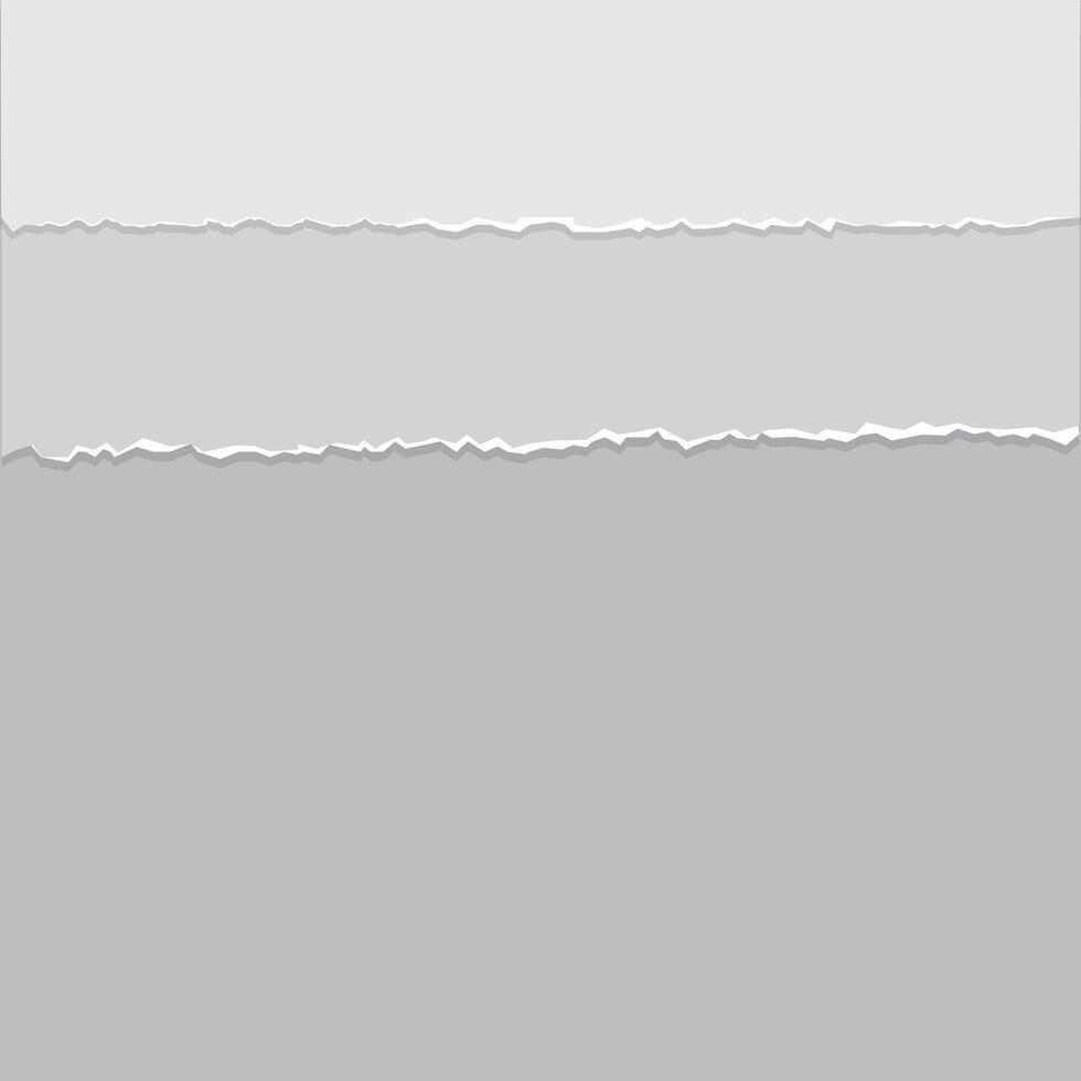 set of paper. Paper and elements for scrapbooking. set of paper sheets vector