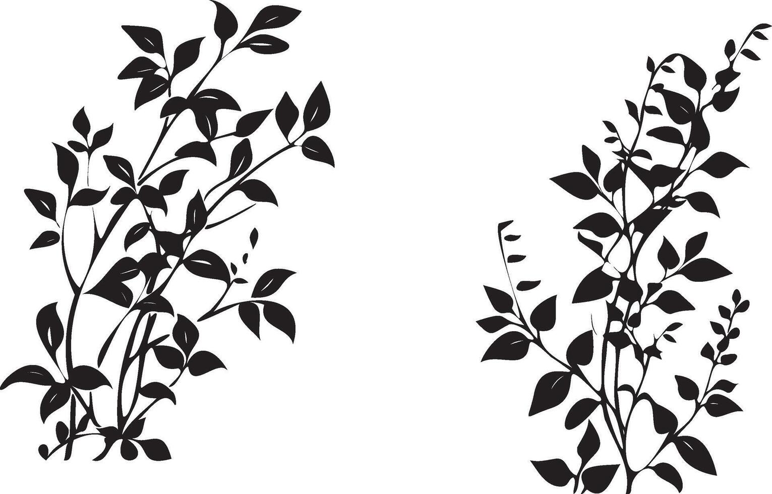 Plant silhouette with leaves white background vector