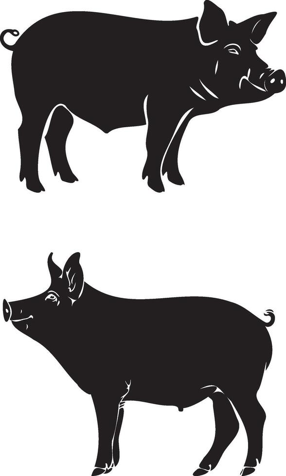 Silhouette Pig white background vector