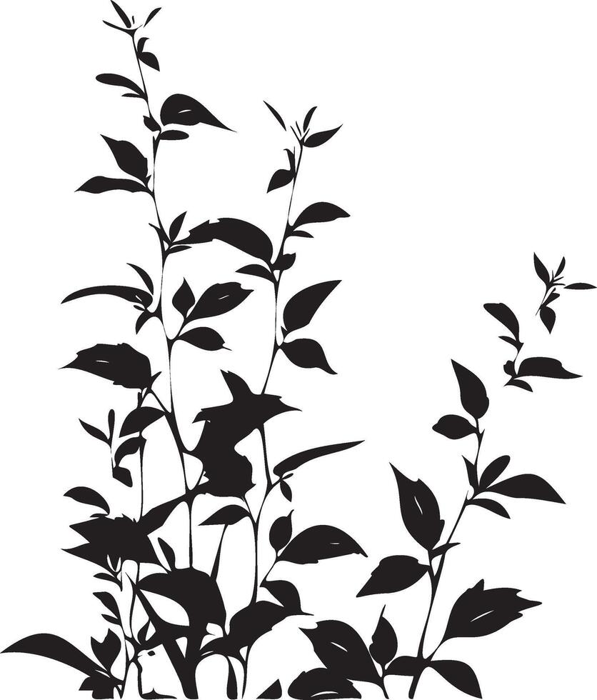 Plant silhouette with leaves white background vector