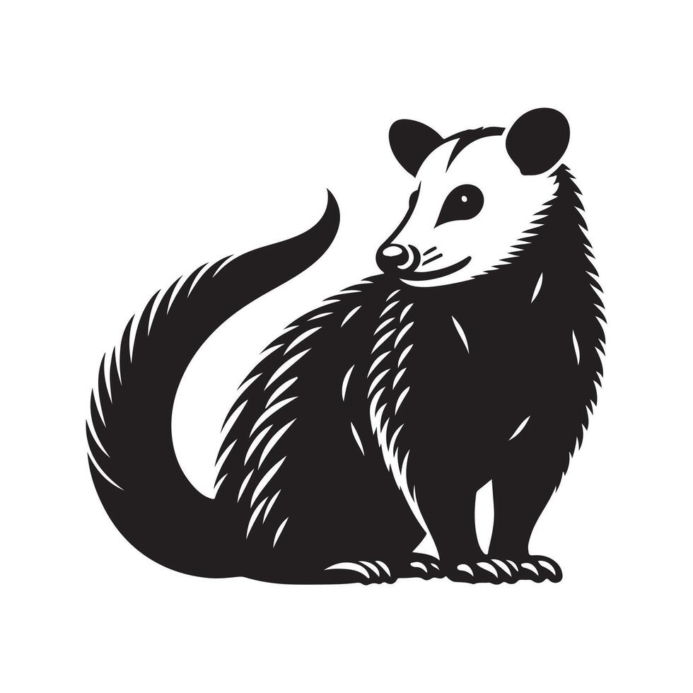Possum silhouette vectors illustration
