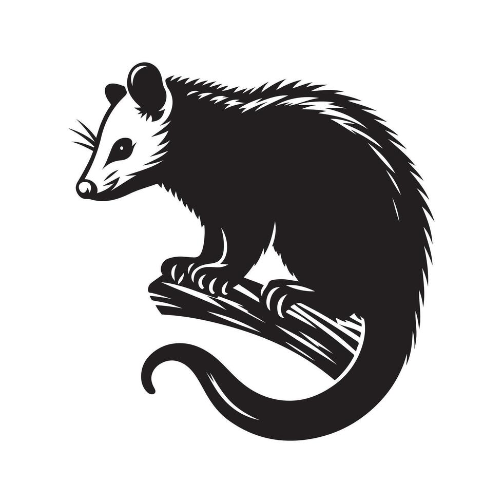 Possum silhouette vectors illustration